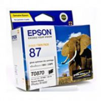 Original Epson T087090 87 Gloss Optimizer for SP R1900
