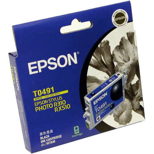 Original Genuine Epson T0491 Black Inkjet Cartridge for Stylus Photo : R210, R310, RX510, RX630