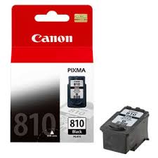 Genuine Original Canon Ink Cartridge PG810